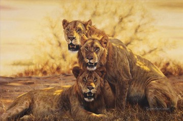 動物 Painting - ライオン9